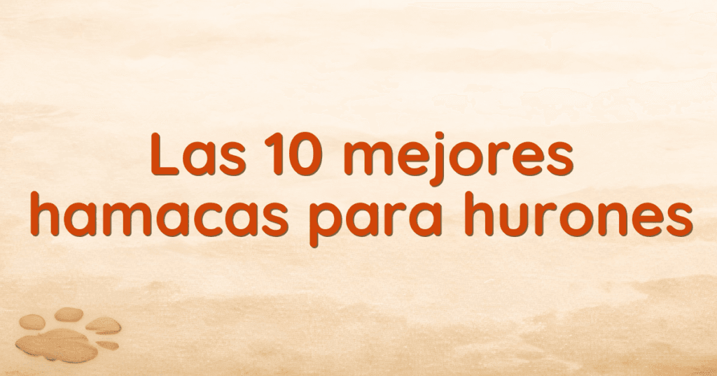 Las 10 mejores hamacas para hurones