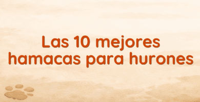 Las 10 mejores hamacas para hurones Las 10 mejores hamacas para hurones