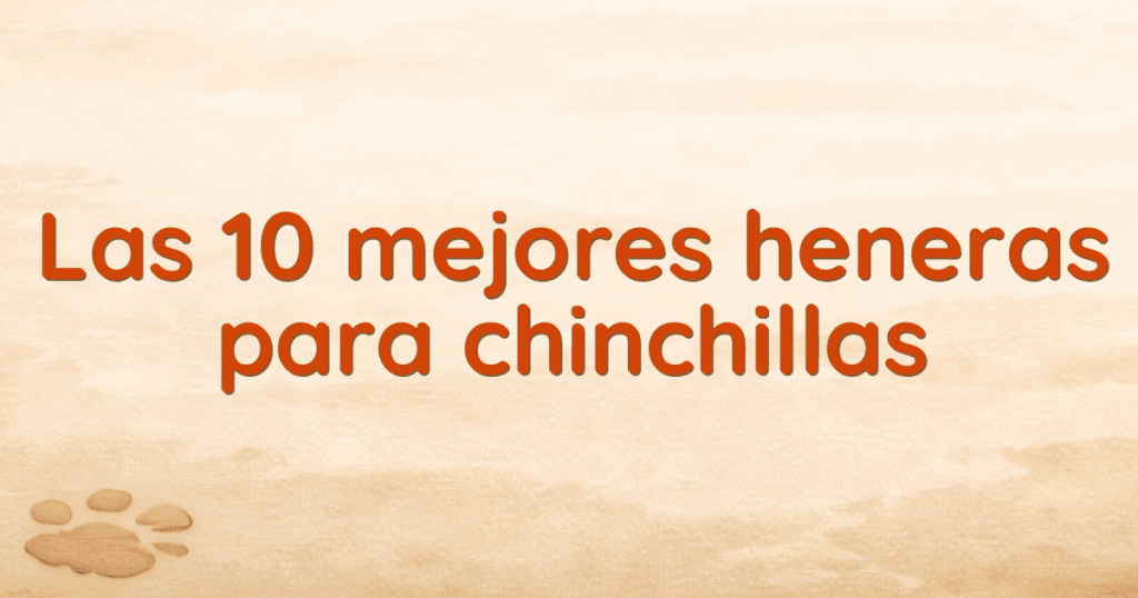 Las 10 mejores heneras para chinchillas