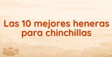 Las 10 mejores heneras para chinchillas