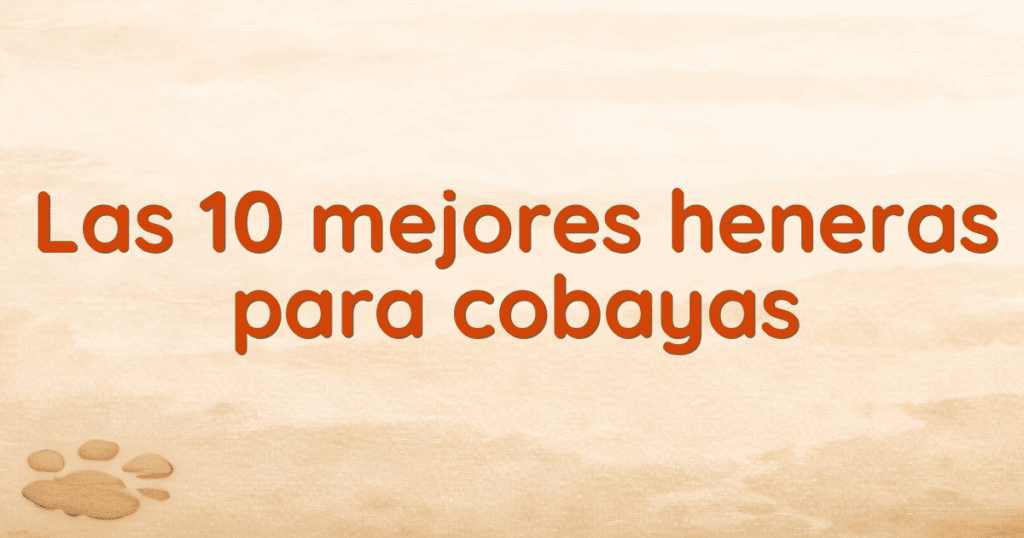 Las 10 mejores heneras para cobayas