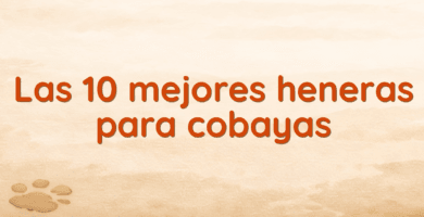 Las 10 mejores heneras para cobayas