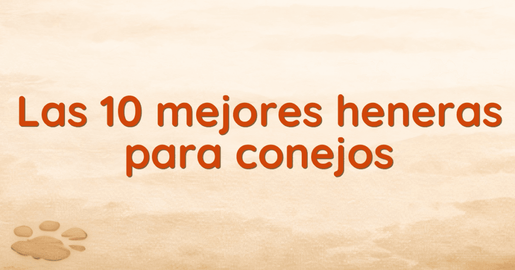Las 10 mejores heneras para conejos Las 10 mejores heneras para conejos