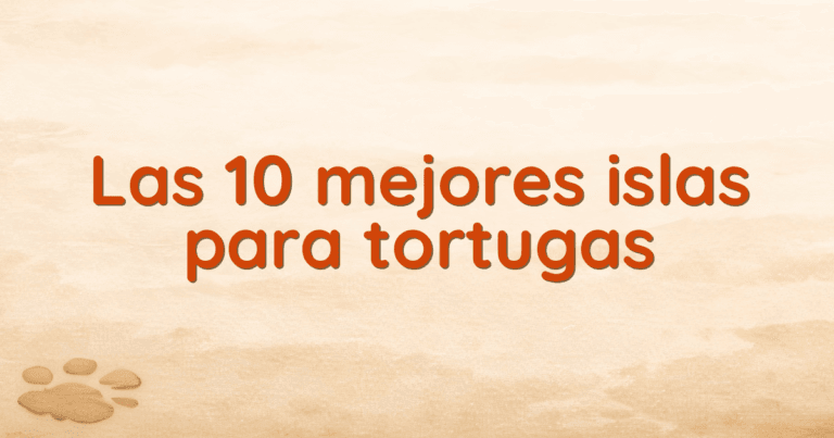 Las 10 mejores islas para tortugas Las 10 mejores islas para tortugas
