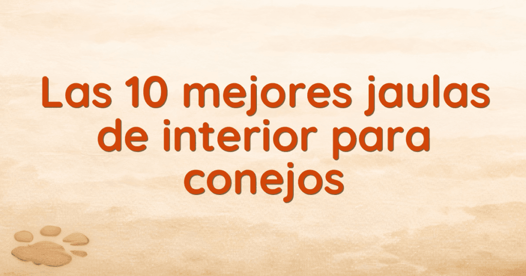 Las 10 mejores jaulas de interior para conejos