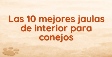 Las 10 mejores jaulas de interior para conejos