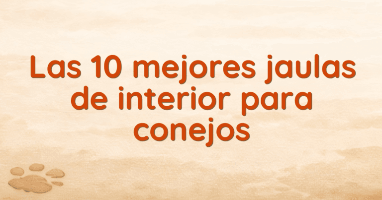 Las 10 mejores jaulas de interior para conejos