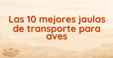 Las 10 mejores jaulas de transporte para aves