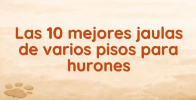Las 10 mejores jaulas de varios pisos para hurones