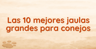 Las 10 mejores jaulas grandes para conejos Las 10 mejores jaulas grandes para conejos