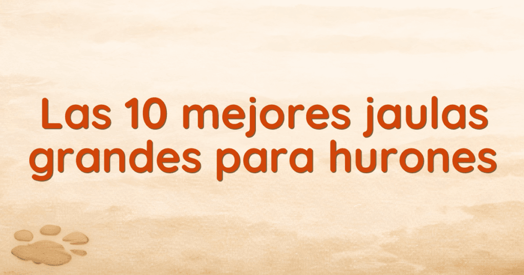 Las 10 mejores jaulas grandes para hurones Las 10 mejores jaulas grandes para hurones