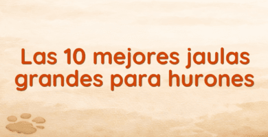 Las 10 mejores jaulas grandes para hurones Las 10 mejores jaulas grandes para hurones