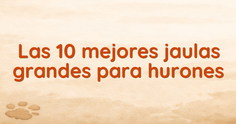 Las 10 mejores jaulas grandes para hurones Las 10 mejores jaulas grandes para hurones
