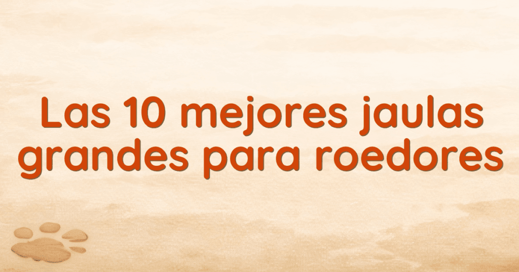Las 10 mejores jaulas grandes para roedores Las 10 mejores jaulas grandes para roedores