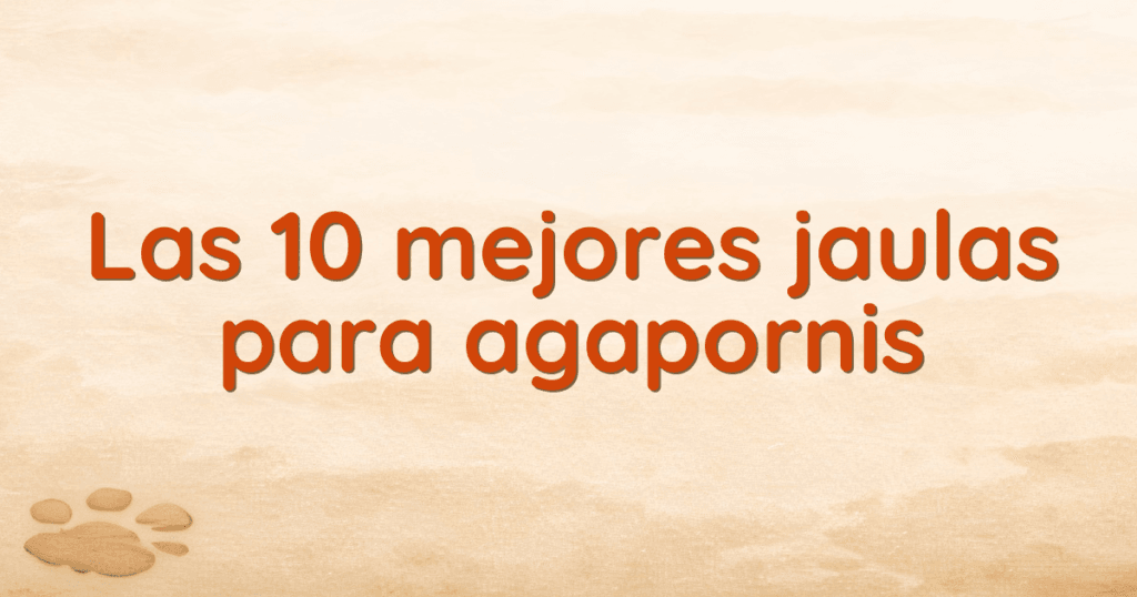 Las 10 mejores jaulas para agapornis