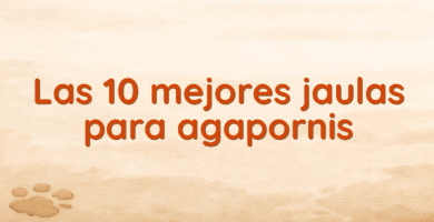 Las 10 mejores jaulas para agapornis