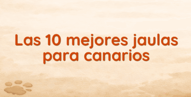 Las 10 mejores jaulas para canarios Las 10 mejores jaulas para canarios