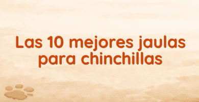 Las 10 mejores jaulas para chinchillas