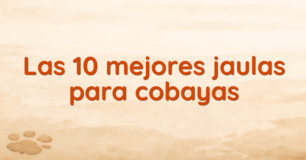 Las 10 mejores jaulas para cobayas