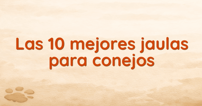 Las 10 mejores jaulas para conejos