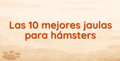Las 10 mejores jaulas para hámsters Las 10 mejores jaulas para hámsters