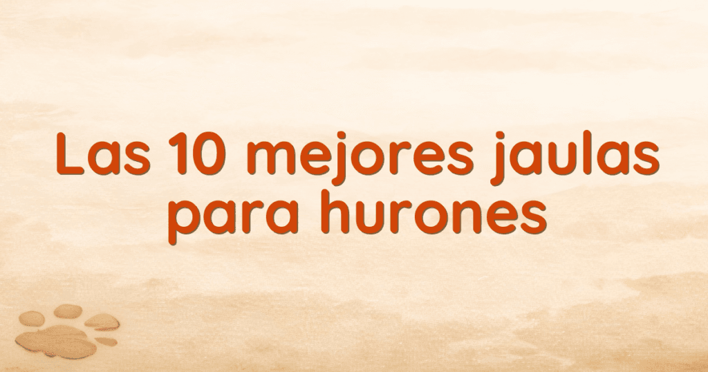 Las 10 mejores jaulas para hurones Las 10 mejores jaulas para hurones