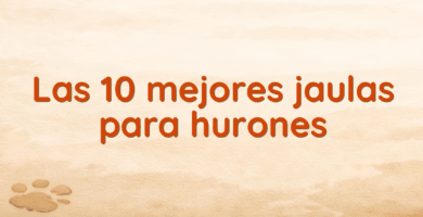 Las 10 mejores jaulas para hurones Las 10 mejores jaulas para hurones