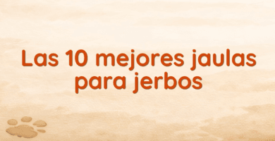 Las 10 mejores jaulas para jerbos
