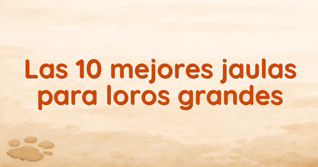 Las 10 mejores jaulas para loros grandes Las 10 mejores jaulas para loros grandes
