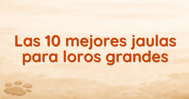 Las 10 mejores jaulas para loros grandes