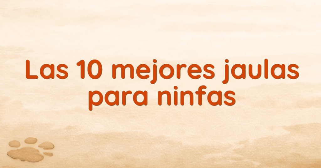 Las 10 mejores jaulas para ninfas