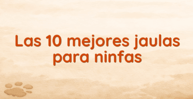 Las 10 mejores jaulas para ninfas
