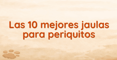 Las 10 mejores jaulas para periquitos Las 10 mejores jaulas para periquitos