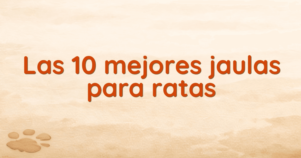 Las 10 mejores jaulas para ratas