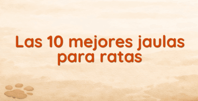 Las 10 mejores jaulas para ratas