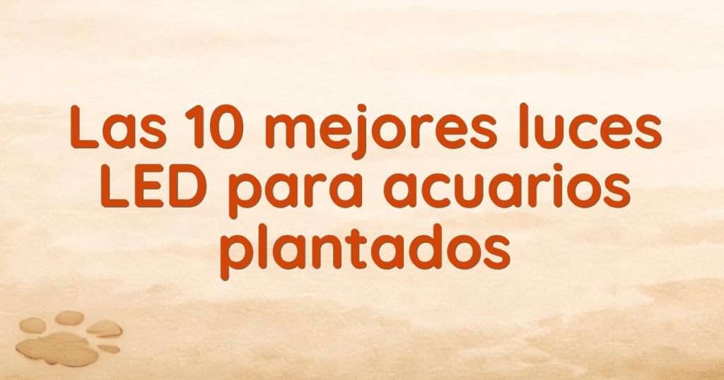 Las 10 mejores luces LED para acuarios plantados