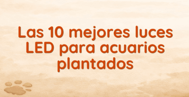 Las 10 mejores luces LED para acuarios plantados