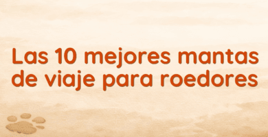 Las 10 mejores mantas de viaje para roedores Las 10 mejores mantas de viaje para roedores