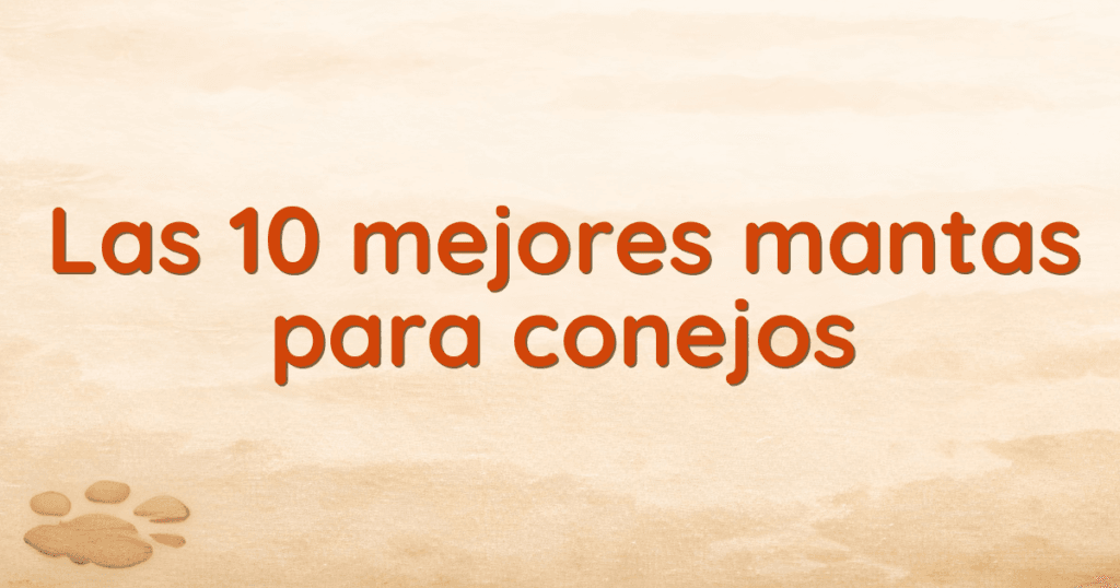 Las 10 mejores mantas para conejos Las 10 mejores mantas para conejos