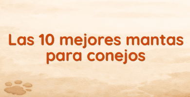 Las 10 mejores mantas para conejos