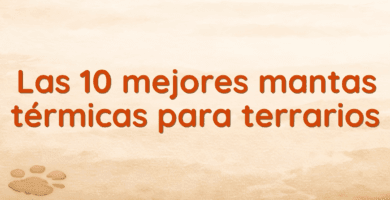 Las 10 mejores mantas térmicas para terrarios Las 10 mejores mantas térmicas para terrarios