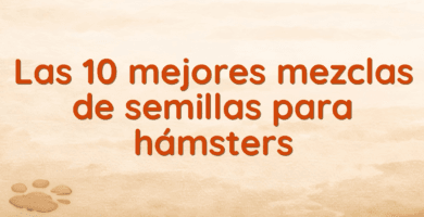 Las 10 mejores mezclas de semillas para hámsters