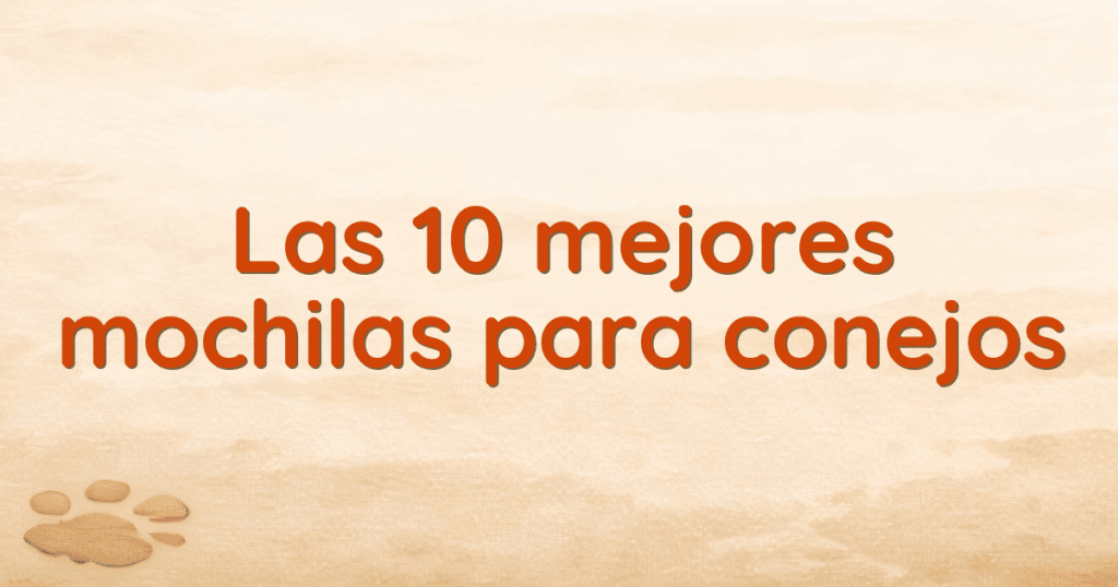 Las 10 mejores mochilas para conejos Las 10 mejores mochilas para conejos