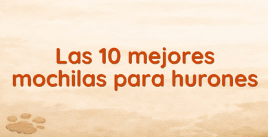 Las 10 mejores mochilas para hurones
