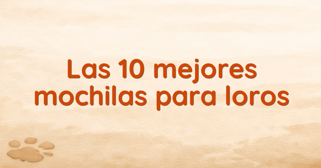 Las 10 mejores mochilas para loros Las 10 mejores mochilas para loros