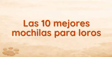 Las 10 mejores mochilas para loros