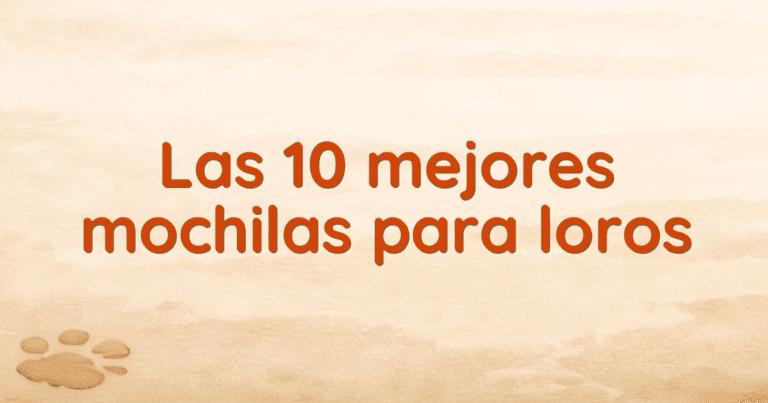 Las 10 mejores mochilas para loros Las 10 mejores mochilas para loros