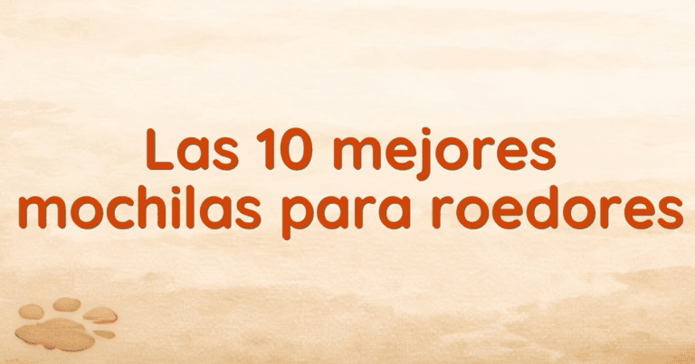 Las 10 mejores mochilas para roedores