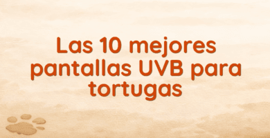 Las 10 mejores pantallas UVB para tortugas Las 10 mejores pantallas UVB para tortugas