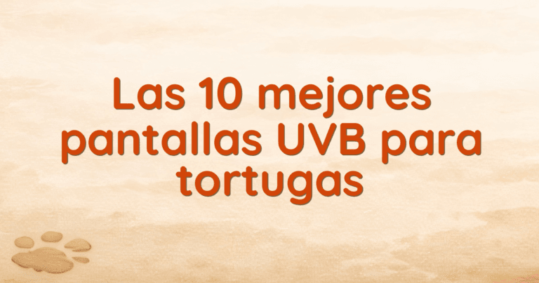 Las 10 mejores pantallas UVB para tortugas Las 10 mejores pantallas UVB para tortugas